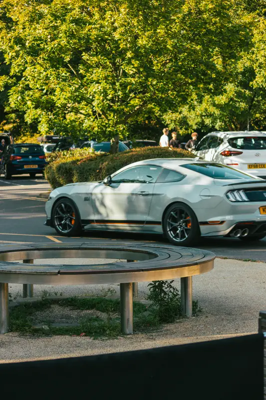The July Meet, Castleton — photo 16